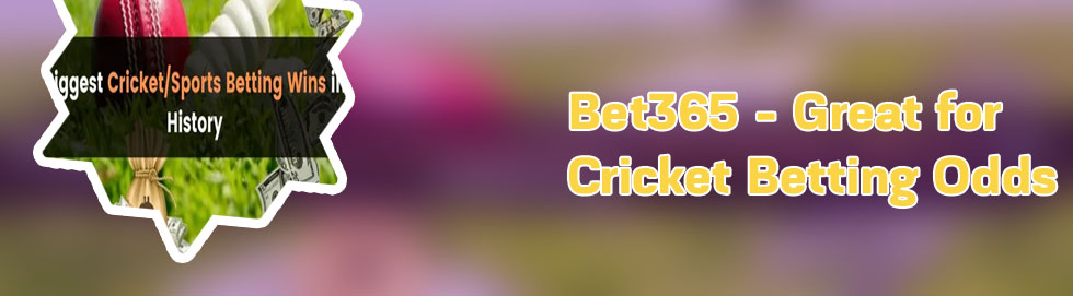 Baji bet cricket betting