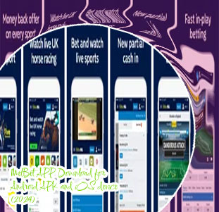 Baji bet sports app download for android