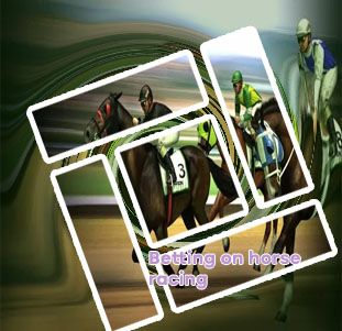 Betting horse racing